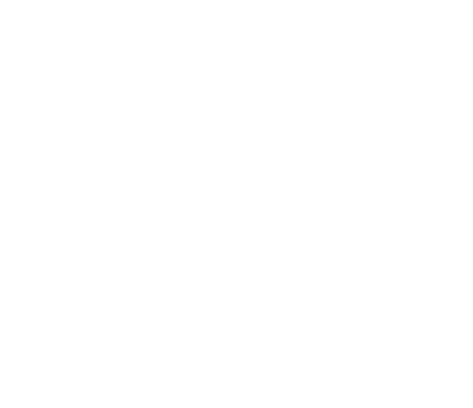 Decorative shape
